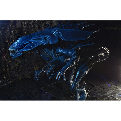 Aliens Xenomorph Queen Ultra-Deluxe Action Figure - Hyperdrive Collector Zone